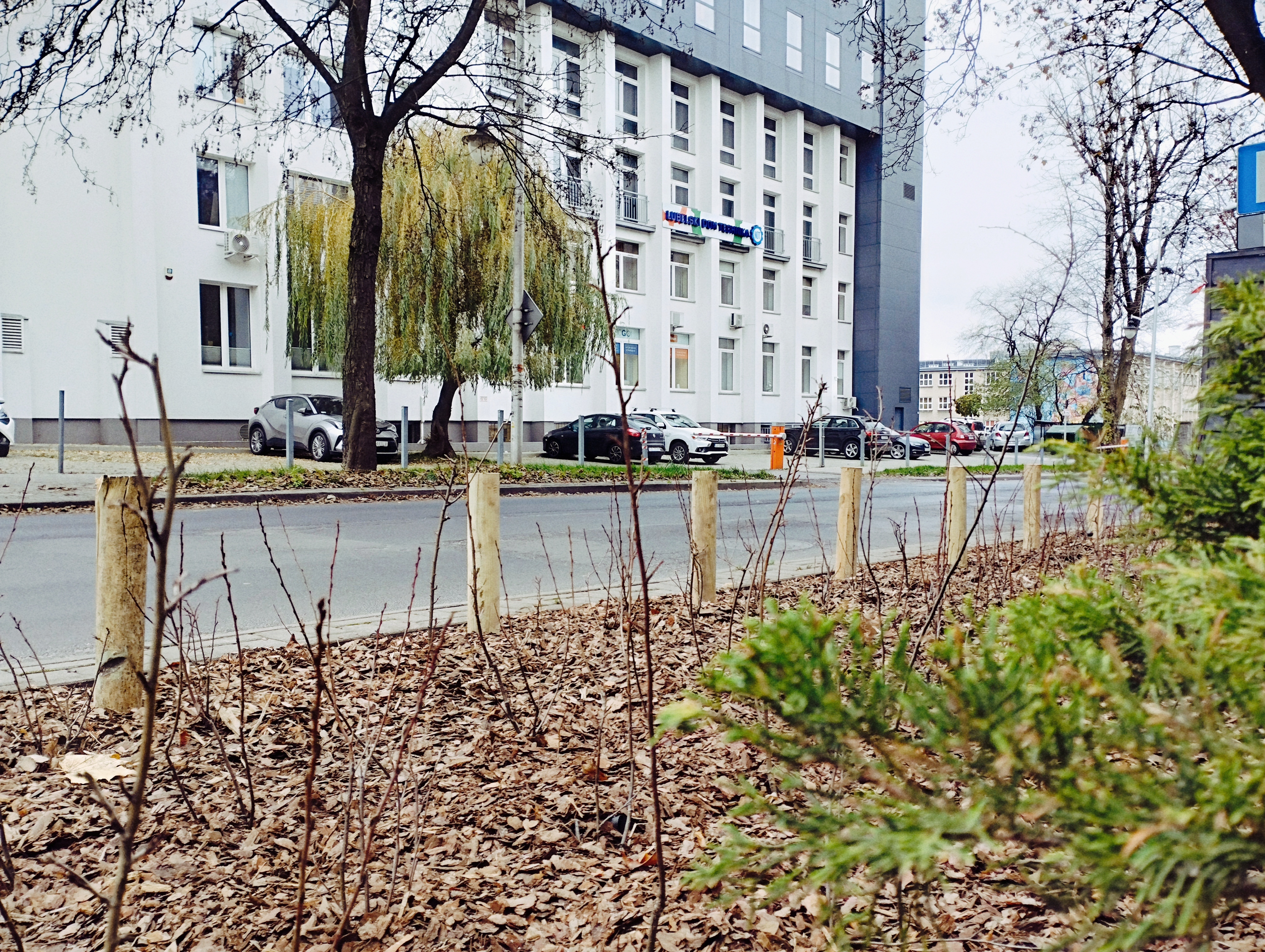 Więcej zieleni na ulicach Lublina. Miasto chwali się zmianami (zdjęcia)