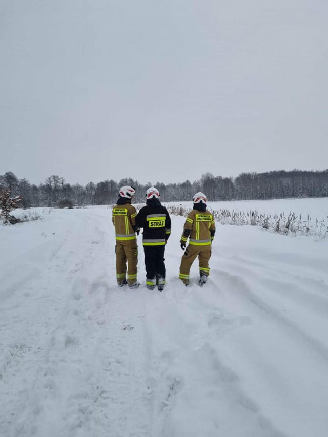Pod łosiem załamał się lód, zaalarmowani zostali strażacy. Zwierzę nie chciało ich pomocy (zdjęcia)