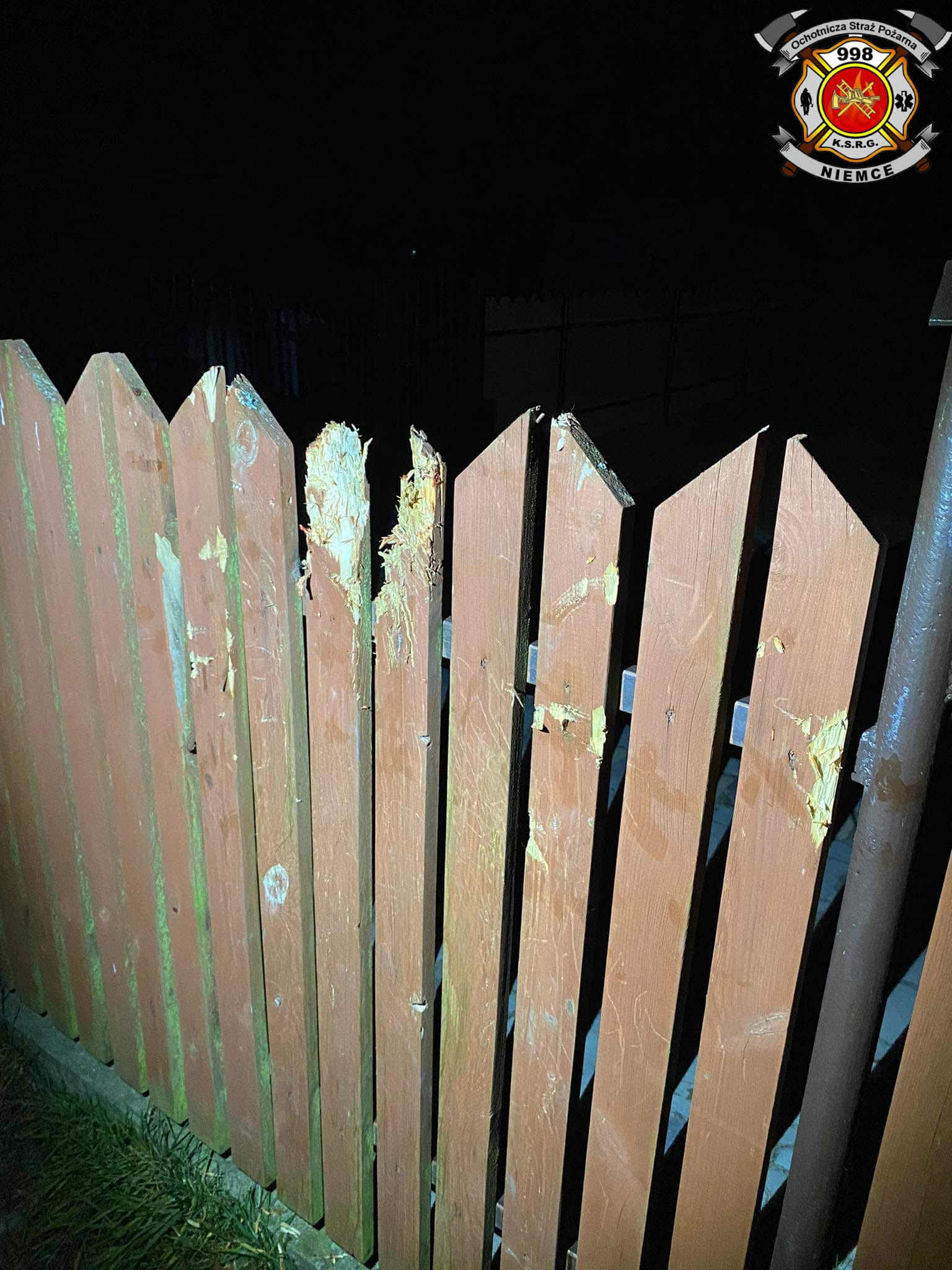 Pies chciał przeskoczyć przez ogrodzenie, łapy utkwiły mu pomiędzy sztachetami (zdjęcia)