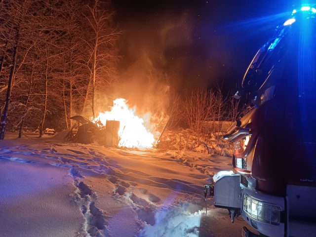 Strażacy walczyli z pożarem wiaty na drewno (zdjęcia)