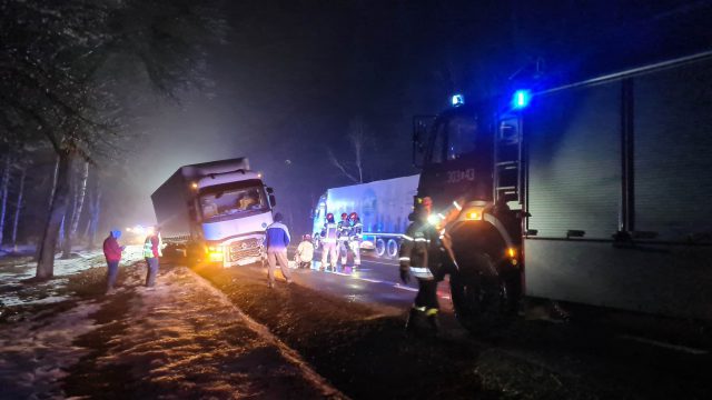 Strażacy pomogli kierowcy serbskiej ciężarówki (zdjęcia)