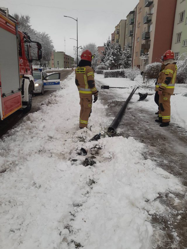 Dachowanie, powalone drzewa, ścięty słup. Interwencje włodawskich strażaków po intensywnych opadach śniegu (zdjęcia)