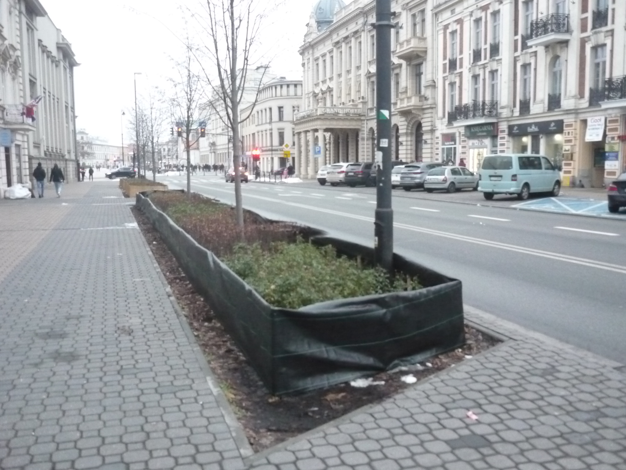 Zbliża się zima. Miasto zadba o rośliny zasadzone wzdłuż jezdni (zdjęcia)