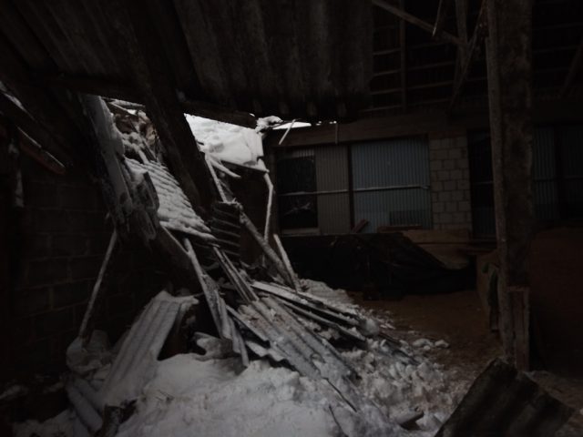 Pod ciężarem śniegu runął dach na stodole. W budynku znajdowało się kilkanaście sztuk bydła (zdjęcia)