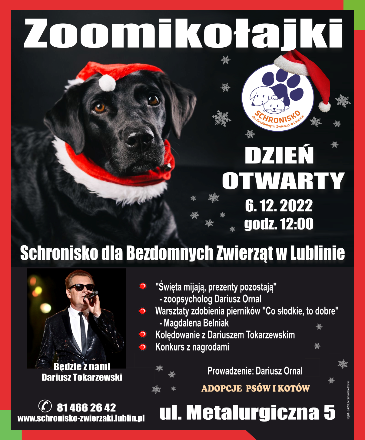 Przyjdź na Zoomikołajki w Schronisku dla Bezdomnych Zwierząt w Lublinie i adoptuj psa lub kota