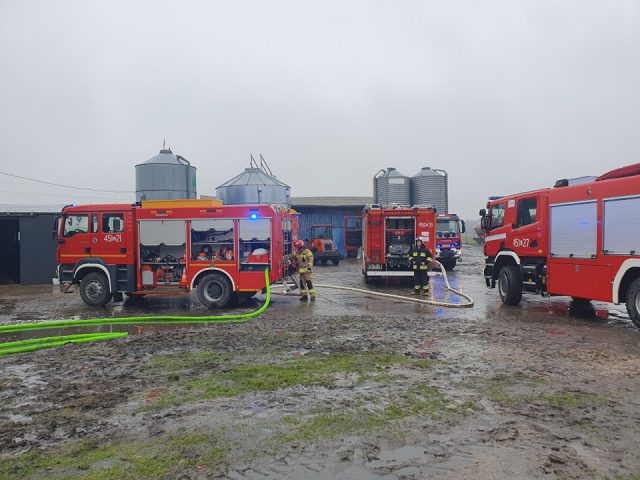 Pożar w Łucce. W płomieniach stanął budynek gospodarczy (zdjęcia)