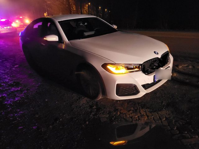 Jechał przez las, na drogę wbiegła sarna. BMW zderzyło się ze zwierzęciem (zdjęcia)