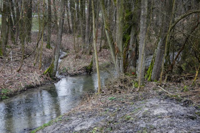 W Bystrzycy na Bystrzycy zbudowano nowy most. Dziś uroczyście przecięto wstęgę (zdjęcia)