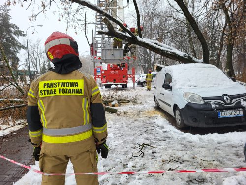 Strażacy usuwają kolejne powalone drzewa na terenie Lublina (zdjęcia, wideo)