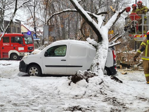Drzewa runęły na zaparkowane samochody. Na miejscu pracują strażacy (zdjęcia)