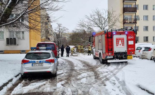 Strażacy usuwają kolejne powalone drzewa na terenie Lublina (zdjęcia, wideo)