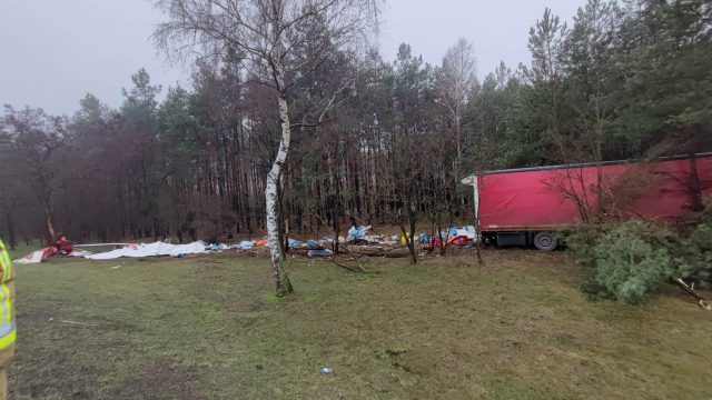 Ciężarówka wypadła z drogi krajowej nr 19 i uderzyła w drzewa (zdjęcia)