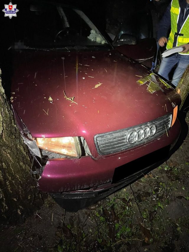 Policyjny pościg za 20-latkiem w audi. Uderzył w radiowóz, ogrodzenie posesji i drzewo (zdjęcia)