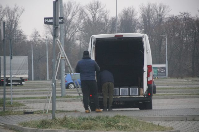 Koniec z darmowym parkowaniem przy Arenie Lublin. Trwa montaż parkomatów (zdjęcia)