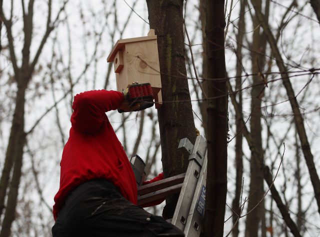 W Leśnym Korytarzu w Lublinie pojawiło się drewniane wyposażenie dla zwierząt. Skorzystają też miłośnicy przyrody (zdjęcia)