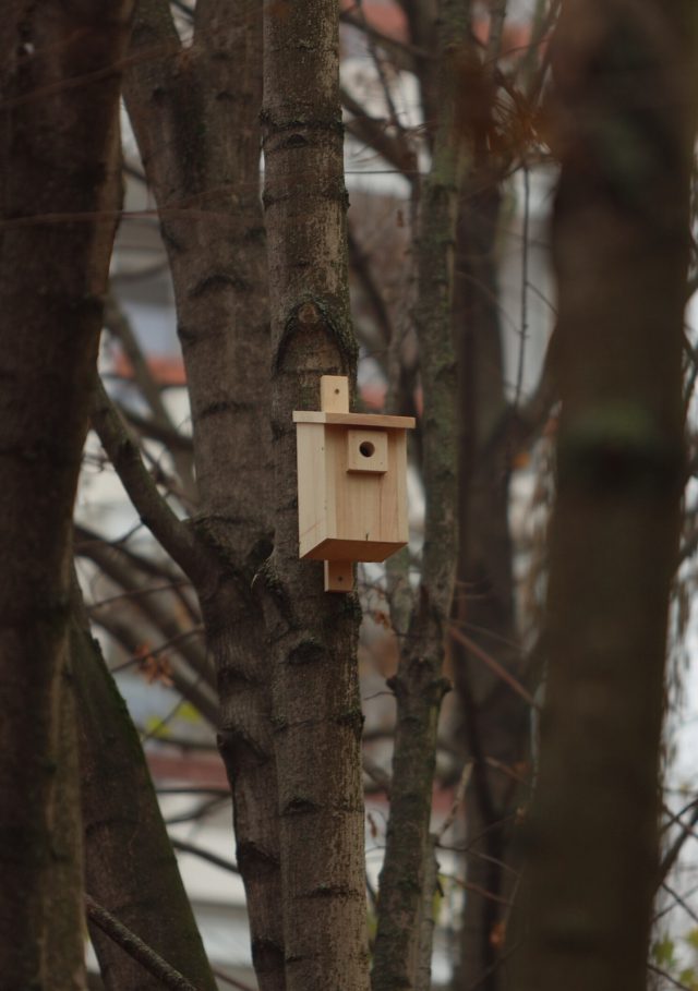 W Leśnym Korytarzu w Lublinie pojawiło się drewniane wyposażenie dla zwierząt. Skorzystają też miłośnicy przyrody (zdjęcia)