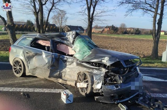 Tragiczny wypadek na drodze wojewódzkiej nr 835. Nie żyje młody mężczyzna (zdjęcia)