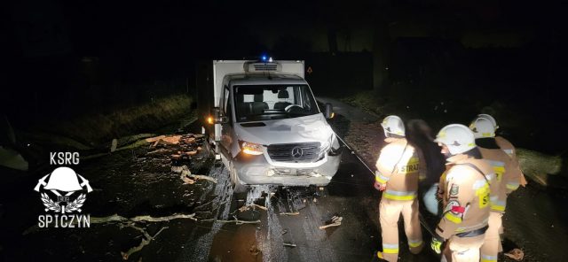 Drzewo przewróciło się na jezdnię, kierowca nie zdołał wyhamować. Auto wezwało służby ratunkowe