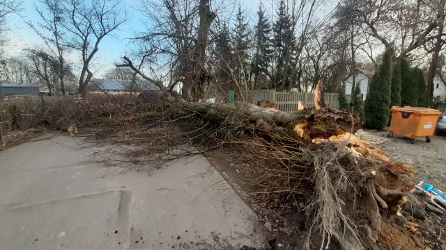 Połamane drzewa, odbiorcy bez prądu i zerwane dachy. Pracowita sobota dla strażaków i energetyków w całym kraju (zdjęcia)