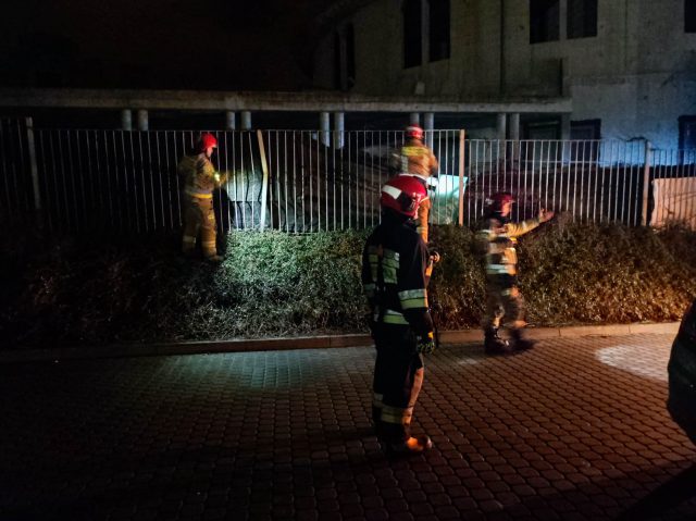 Połamane drzewa, zerwane dachy, braki w dostawie prądu. Silny wiatr nadal będzie nam towarzyszył (zdjęcia)