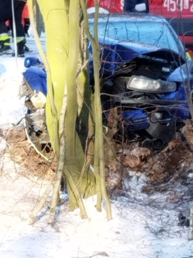 Seat wypadł z drogi i uderzył w drzewo. W akcji ratunkowej śmigłowiec LPR (zdjęcia, wideo)