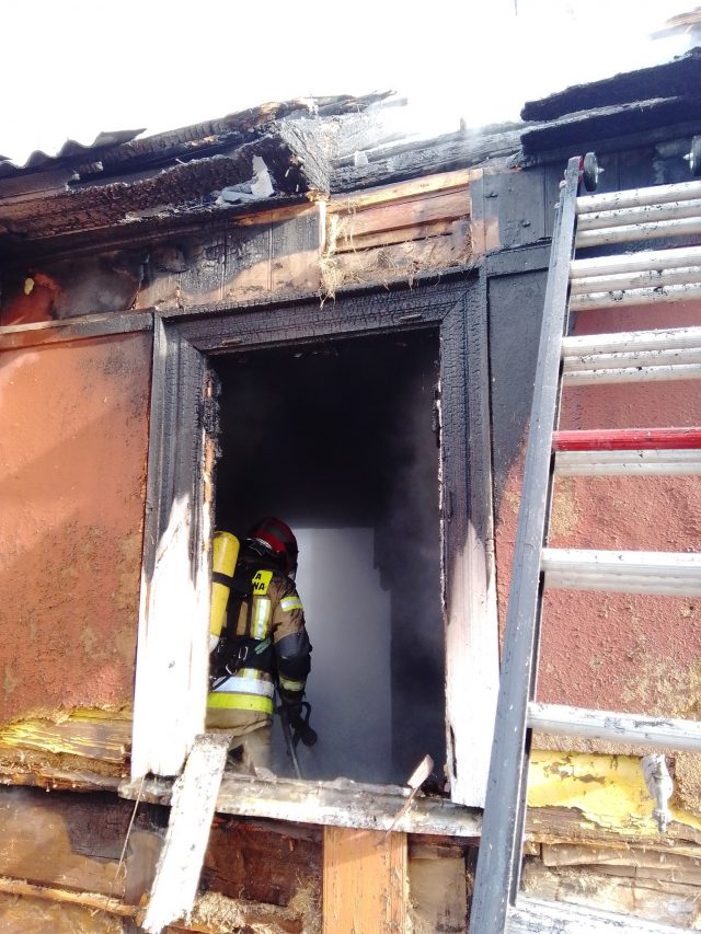 Ogień wydostawał się przez okna budynku. W pożarze domu zginęła 95-letnia kobieta (zdjęcia)