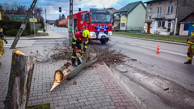 Połamane drzewa, zerwane dachy, braki w dostawie prądu. Silny wiatr nadal będzie nam towarzyszył (zdjęcia)