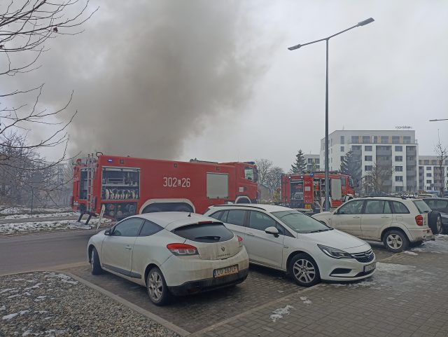 Tragiczny finał pożaru na terenie ogródków działkowych. Nie żyje mężczyzna (wideo, zdjęcia)