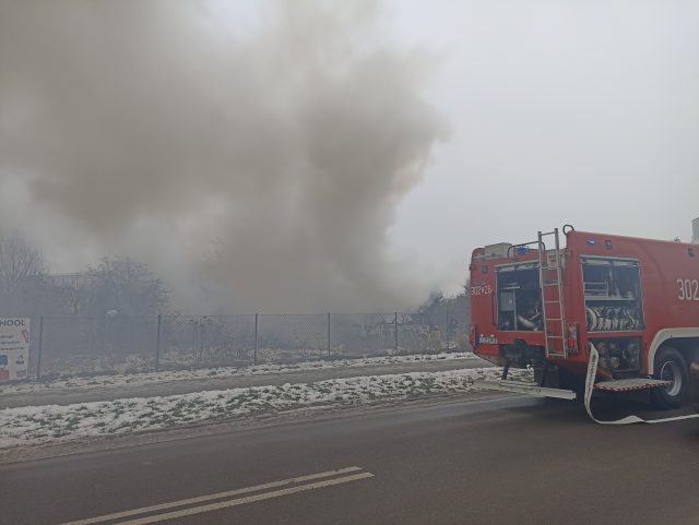 Tragiczny finał pożaru na terenie ogródków działkowych. Nie żyje mężczyzna (wideo, zdjęcia)
