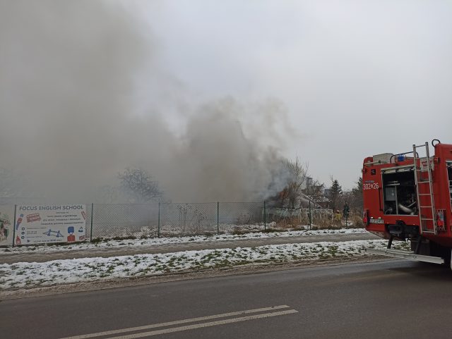 Pożar na terenie ogródków działkowych w Lublinie. Z ogniem walczyły dwa zastępy strażaków (zdjęcia) AKTUALIZACJA