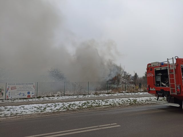 Tragiczny finał pożaru na terenie ogródków działkowych. Nie żyje mężczyzna (wideo, zdjęcia)