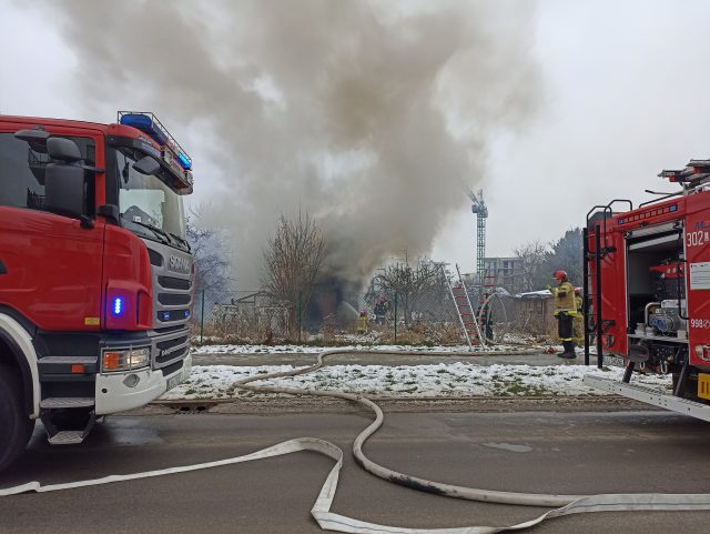 Pożar na terenie ogródków działkowych w Lublinie. Z ogniem walczyły dwa zastępy strażaków (zdjęcia) AKTUALIZACJA