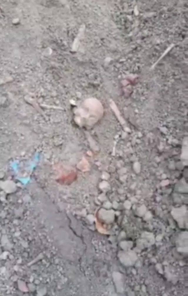 Ludzkie szczątki leżały na placu targowym. „W wywiezionej ziemi były czaszki i kości piszczelowe” (zdjęcia)