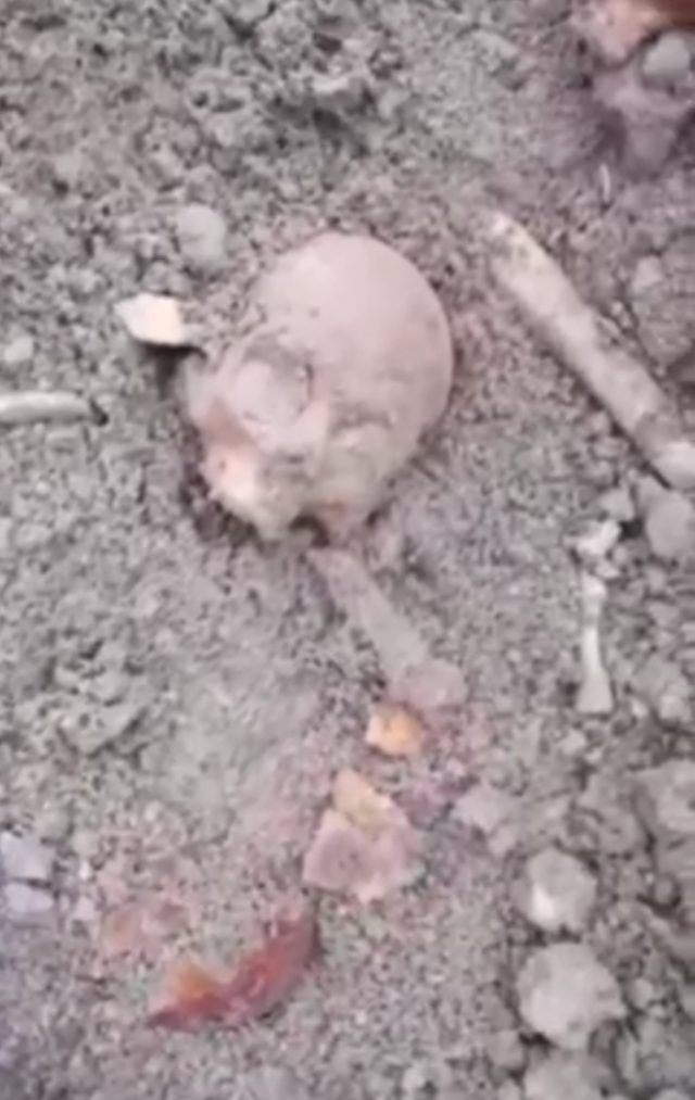 Ludzkie szczątki leżały na placu targowym. „W wywiezionej ziemi były czaszki i kości piszczelowe” (zdjęcia)