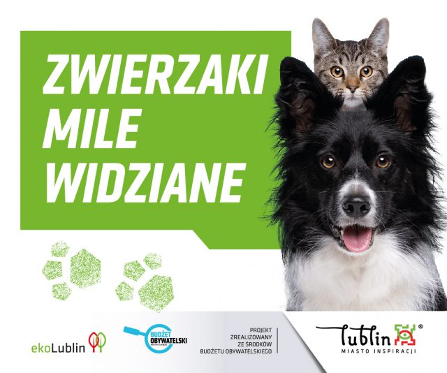 W Lublinie trwa nabór zgłoszeń do udziału w akcji „Miejsce przyjazne zwierzętom”