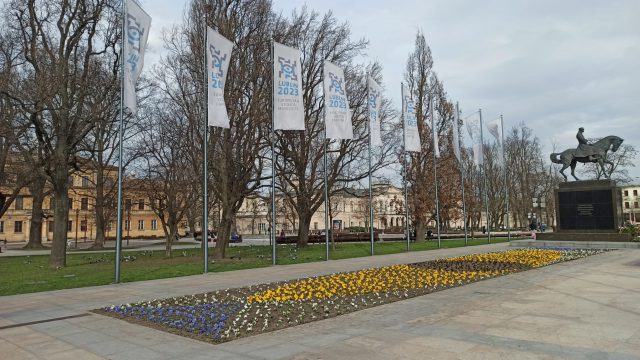 Białe, żółte, fioletowe, bordowe i niebieskie. W Lublinie ruszyło sadzenie tysięcy bratków (zdjęcia)