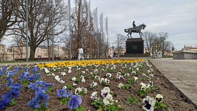 Białe, żółte, fioletowe, bordowe i niebieskie. W Lublinie ruszyło sadzenie tysięcy bratków (zdjęcia)