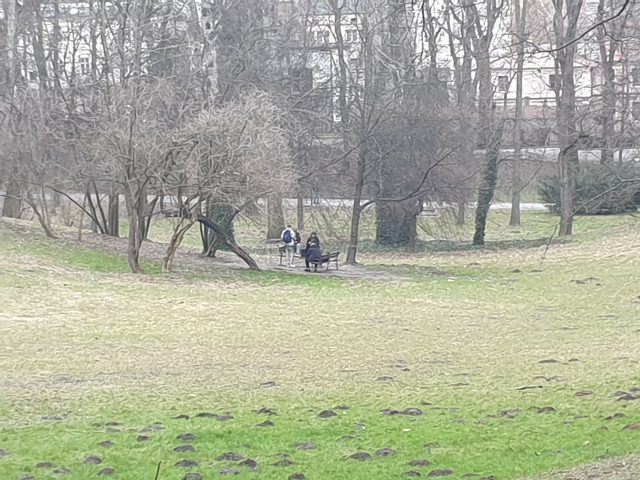 Picie alkoholu i dewastacje w Ogrodzie Saskim. Miasto planuje montaż nowych kamer (zdjęcia)