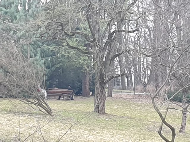 Picie alkoholu i dewastacje w Ogrodzie Saskim. Miasto planuje montaż nowych kamer (zdjęcia)