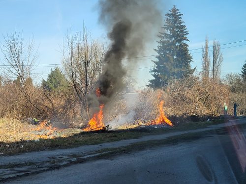 Dym było widać z daleka, ktoś podpalił łóżko. Ogień objął zarośla (zdjęcia)