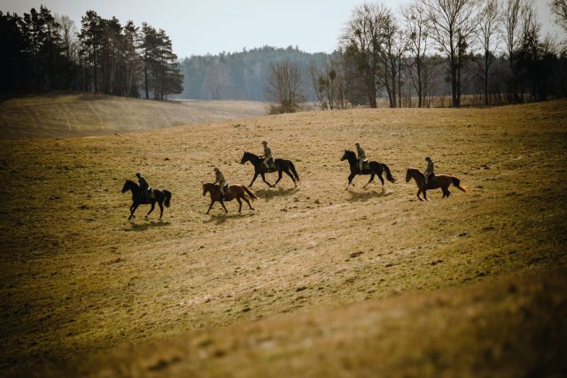 Lubelscy terytorialsi ćwiczyli wspólnie z brytyjskimi kawalerzystami (zdjęcia)