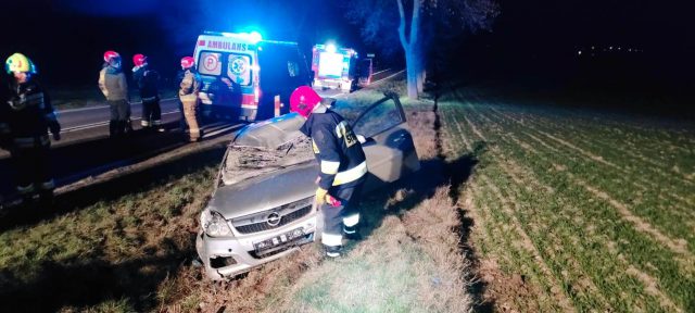 Zderzenie opla z łosiem. Pojazd zatrzymał się w przydrożnym rowie (zdjęcia)