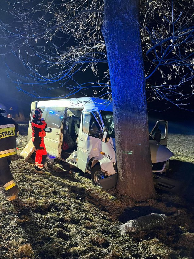 Bus z czterema osobami uderzył w drzewo, poszkodowana kobieta była zakleszczona w pojeździe (zdjęcia)