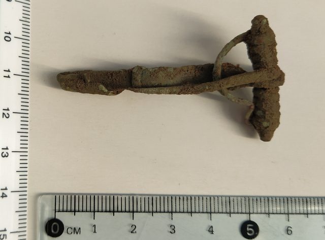Chodził z wykrywaczem metali po lesie, znalazł zabytkowe przedmioty z okresu rzymskiego (zdjęcia)