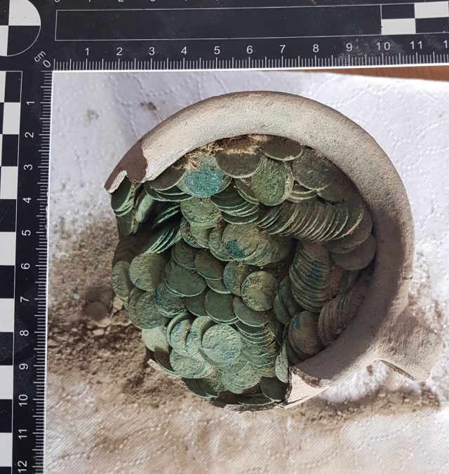 Znalazł bardzo stary dzbanek, a w nim około 1000 monet sprzed wieków (zdjęcia)