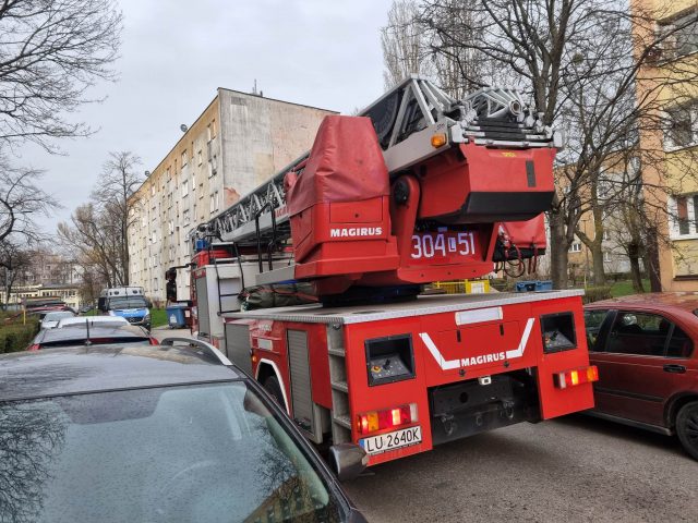 Mieszkańcy zaalarmowali służby ratunkowe o pożarze w wieżowcu (zdjęcia)