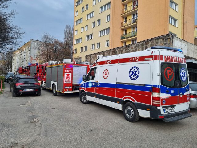 Mieszkańcy zaalarmowali służby ratunkowe o pożarze w wieżowcu (zdjęcia)