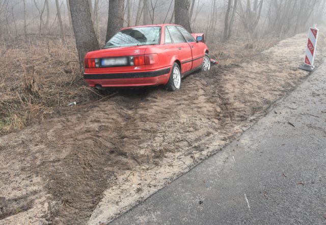 Zjechał z drogi, audi uderzyło w drzewo. Kierowca trafił do szpitala (zdjęcia)