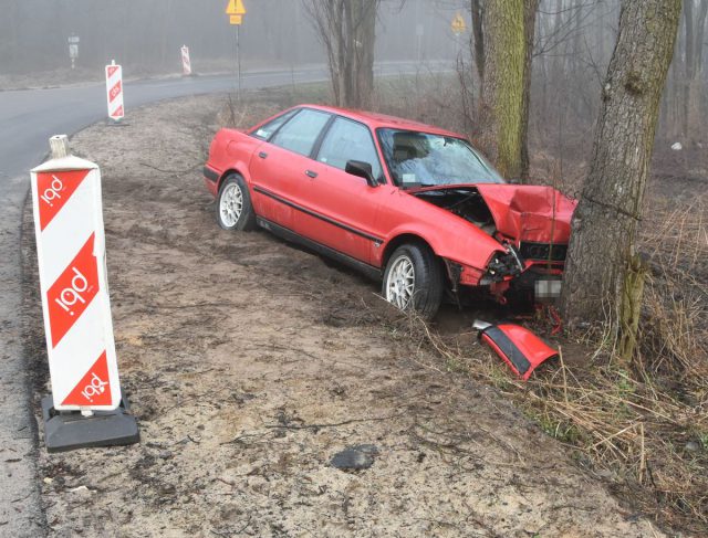 Zjechał z drogi, audi uderzyło w drzewo. Kierowca trafił do szpitala (zdjęcia)