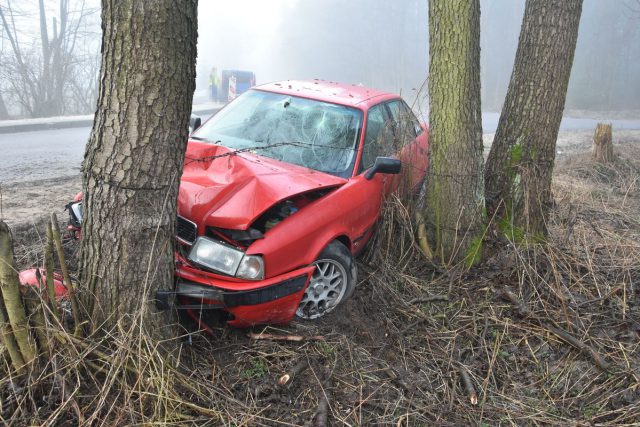 Zjechał z drogi, audi uderzyło w drzewo. Kierowca trafił do szpitala (zdjęcia)